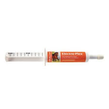 electrolyte paste for horses